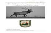 Kentucky Elk Report - Kentucky Department of Fish and ... · PDF file2014-2015 Harvest Results ... youth-only drawing are entered back into the general drawing pool in ... Cow Week