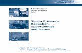 Steam Pressure Reduction: Opportunities and Issues - · PDF file · 2014-05-19Steam Pressure Reduction: Opportunities and Issues ... Steam Pressure Reduction: Opportunities and Issues