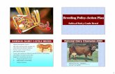 Breeding Policy-Action Plan - FAnGR Pakistan Sahiwal Breeding Policy and Action...1 Breeding Policy-Action Plan Sahiwal Dairy Cattle Breed • Global animal genetic resource • High