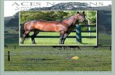 aces n sevens - Rosehill Farm Veterinary Practice N SEVENS: AT STUD* Leading Australian first season sire in 2006 with 22 individual winners and progeny earnings of over $350,000 From