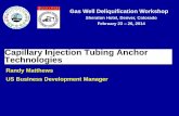 Capillary Injection Tubing Anchor Technologies -  · PDF fileCapillary Injection Tubing Anchor Technologies ... Desander Injection Port . 19 ... Final Set Up for wellhead 22 . 23