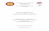 Cartago III Sesion de Gabinete[1] -  · PDF fileINSTITUTO TECOLOGICO DE COSTA RICA ... Gilberto González 4. Antonio Sequeira ... 1. Omar Guillén Presidente 2