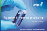 “Flexibility” in materials processing - prometia.euprometia.eu/wp-content/uploads/2014/02/07_VanCamp_UMICORE.pdf · Entrepreneurial University PROMETIA 4th Scientific Seminar,