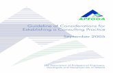 Guideline of Considerations for Establishing a Consulting ... · PDF fileGuideline of Considerations for Establishing a Consulting Practice v1.0 2 “I set ... a partnership, corporation