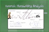 Drew Silva -  · PDF fileHandwriting Analysis, be sure to identify 3 characteristics of handwriting that led you to your conclusion in the Handwriting Analysis Lab. Title: