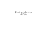Electrooculogram (EOG) - ELTE Élettani és …physiology.elte.hu/gyakorlat/angol/EOG_Biopac lesson L10.pdfPage 2 1. INTRODUCTION VThat do three things have in common? Two young lovers