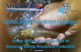 Aquaculture Biosecure Systems Dr... · Definition of Bioflocs By Francois Brenta ... BIOSECURITY IN SHRIMP FARMING –Indoor Biofloc Systems Applied to Broodstock Production Heterotrophic