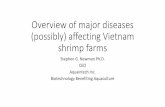 Overview of diseases affecting Vietnam shrimp  · PDF fileInfected with E. hepatopenaei (EHP) 72/148 = 49% Mortality
