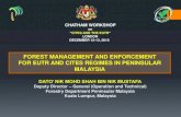 FOREST MANAGEMENT AND ENFORCEMENT FOR ... DATO’ NIK MOHD SHAH BIN NIK MUSTAFA Deputy Director – General (Operation and Technical) Forestry Department Peninsular Malaysia Kuala