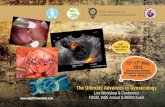 The Ultimate Advances in Gynaecology - iageonline.com Brochure Final.pdf · Pandit Palaskar Parul Kotdawala Rajat Mohanty ... “The Ultimate Advances in Gynaecology”. The event