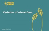 Varieties of wheat flour - Grainchain of... · 11-14 years cooking: Activity session 2 Wheat flour Farmers grow wheat plants and the grain from those plants is used to make flour.