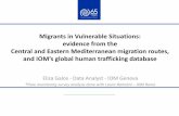 Migrants in Vulnerable Situations: evidence from the ... · PDF file–HT Module captures individual experiences that might ... primary or secondary ... Data collection: not (yet)
