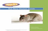 Rat New Owner Guide - AWLQawlqld.com.au/wp-content/uploads/2016/07/Rat-New-Owner-Care-Gui… · In this guide, you will learn about feeding, grooming, handling and housing your rats,