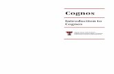 Cognos - Texas Tech Universitykainz.ttu.edu/.../08/afism-introduction-to-cognos-training-guide.pdf · Cognos Introduction to Cognos. P a g e 1 | 27 TABLE OF CONTENTS WHAT IS COGNOS