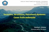 Tectonics, Structures, Petroleum Systems: Cases from · PDF file2002-2012: BPMIGAS, sequentially as: Manager Geology for South Sumatra & Java; Manager Geology for Kalimantan & Eastern