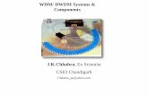WDM/ DWDM Systems & Components -  · PDF fileWDM/ DWDM Systems & Components J.K.Chhabra, Ex Scientist CSIO Chandigarh Chhabra_jk@yahoo.com