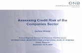 Assessing Credit Risk of the Companies Sector - · PDF fileStructural Model (Credit, Market, and ... accounting ratios combined with general firm specific information ... Assessing
