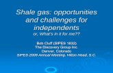 Shale gas: opportunities and challenges for independents ... SIPES Ann Mtg Shale gas... · Shale gas: opportunities and challenges for independents or, What’s in it for me?? Bob