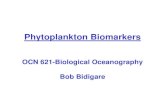 Phytoplankton Biomarkers - SOEST | School of Ocean and ... · PDF filePhytoplankton Biomarkers ... Pigment-based Chemotaxonomy Prasinoxanthin Prasinophytes ... OCN621-20060130-pigmentbiomarkers-bidigare.ppt