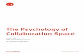 The Psychology of Collaboration Space - Workplace …workplaceunlimited.com/The Psychology of Collaboration Space Full... · The Psychology of Collaboration Space Prepared By Nigel