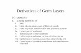 Derivatives of Germ Layers - Government Medical College … lectures/Anatomy/General... ·  · 2014-07-05Derivatives of Germ Layers ECTODREM 1. Lining Epithelia of i. Skin ... tympanic