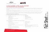 CoCaine or CoCaine HydroCHloridedocs.cams.com.au/Safety Documents/Documents/IDiS/IDiS Illicit Drugs... · CoCaine or CoCaine HydroCHloride ... serotonin in the brain is reduced by