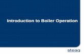 Introduction to Boiler Operation - · PDF fileIntroduction to Boiler Operation. Mittwoch, 4 ... system following the manual start up procedure. ... and adjust the opening of hot and