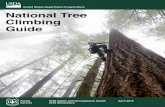 National Tree Climbing Guide - fs.fed.us Tree Climbing Guide 2015 Electronic Edition The Forest Service, United States Department of Agriculture (USDA), has developed this information