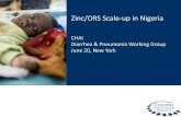 CHAI Diarrhea & Pneumonia Working Group June 20, …ccmcentral.com/wp-content/uploads/2013/12/Zinc-ORS-Scale-up-in...Diarrhea & Pneumonia Working Group June 20, ... NPHCDA to solidify