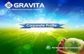 AN INDIAN MULTINATIONAL COMPANY - Gravita India  · PDF fileAN INDIAN MULTINATIONAL COMPANY ... Lead Industry Overview Growth Strategy ... The Aditya Birla Group •BE Metallurgy