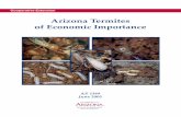 Arizona Termites of Economic Importance · PDF fileArizona Termites of Economic Importance ... subterranean termites in Arizona tend to swarm in mass on the night after a substantial