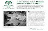 How Trees Can Retain Stormwater Runoff - Northland · PDF fileTrees in our communities provide many services beyond ... The collective effect of this simple action can make a ... •