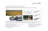 Climate Change Adaptation Case Study - · PDF fileClimate Change Adaptation Case Study ... trees), so restoring both ... The specific species involved in the “maple-ization” effect