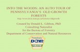 INTO THE WOODS: AN AUTO TOUR OF ... - Pennsylvania THE WOODS: AN AUTO TOUR OF PENNSYLVANIA’S OLD GROWTH FORESTS  Created by Donald L. Gibbon, PhD
