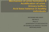 urine formation..mechanism,acidification,urinary buffers by dr.Tasnim