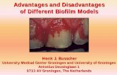 Advantages and Disadvantages of Different Biofilm Models · PDF fileAdvantages and Disadvantages of Different Biofilm Models ... Data analyses flowtime (seconds) 0 ... Model aspect