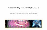 Veterinary Pathology 2011 - The University of Sydney · PDF fileContext of Veterinary Pathology • Semesters 1-4 – Normal Structure & Function • Semester 4 BVSc & BAnVetBSc Principles