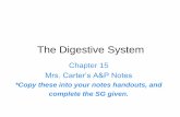 The Digestive System - PC\|MACimages.pcmac.org/SiSFiles/Schools/AL/BlountCounty/... · The Digestive System ... *Copy these into your notes handouts, and complete the SG given. ...
