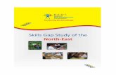 NSDC Skill Gap Study of the North  · PDF fileRailways, Inland Water Transport, ... 4.7 SWOT Analysis of Mizoram ... NSDC Skill Gap Study of the North East . PART