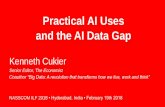 Practical AI Uses and the AI Data Gap