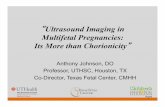 Ultrasound Imaging in Multifetal Pregnancies: Its More ... · PDF file“Ultrasound Imaging in Multifetal Pregnancies: ... Lambda or Twin Peaks or T-sign ... No bladder in the donor