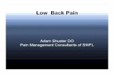 Low Back Pain - enp-network.s3.amazonaws.comenp-network.s3.amazonaws.com/Southern_GulfCoast_NP/PDF/conferen… · Scoliosis Stenosis Infection Spondylolisthesis SIJ pain Cancer Trauma/fractures