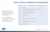 SMALL BOWEL WORKSHOP PROGRAMME - · PDF fileSMALL BOWEL WORKSHOP PROGRAMME ... 10.00 MR enterography development and service, features of Crohn’s disease 10.00 ... Two Day Conference