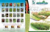 Build your own R GaRden Rain... · Scirpus fluviatilis (3-5' High, Blooms: ... Brochure design courtesy of Applied Ecological Services, Inc. ... Rain Garden, either by digging a ...