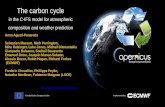 The carbon cycle - ECMWF · PDF fileTerrestrial carbon flux : Exchange between the biosphere and the atmosphere ... 2m T Error differences from the CTL 2m Rh Error differences from