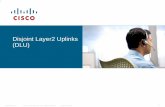 Disjoint Layer2 Uplinks (DLU) - Cisco Support Community · PDF fileDisjoint Layer2 Uplinks (DLU) ... border-interfaces on the FI: UCS-B(nxos) ... The Designated Receiver (DR) port