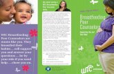 Breastfeeding Peer Counselor Brochure, P- against its customers ... department of health services, dhs, division of public health, dph, bfpc, breastfeeding, peer, counselor, brochure,