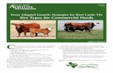 Texas Adapted Genetic Strategies for Beef Cattle VII: …aglifesciences.tamu.edu/animalscience/wp-content/uploads/sites/14/...Adapted Genetic Strategies for Beef Cattle V: Types and
