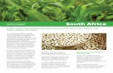 South Africa - International Service for the Acquisition of … country fActs & trends South Africa in 2016, south Africa planted 2.66 million hectares of the three major biotech crops: