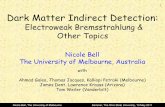 1 Dark Matter Indirect Detection - CCAPPccapp.osu.edu/seminar_talks/CCAPP/2011/nbell.May13.2011.pdf · 1 Dark Matter Indirect Detection: ... The University of Melbourne Seminar, The